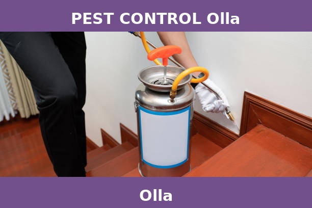PEST CONTROL Olla